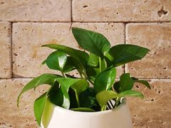 -西郊国际农产品交易中心