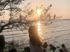 -宝安西湾红树林湿地公园