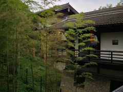 -大唐贡茶院