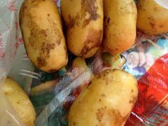 -绝味鸭脖(花园路店)