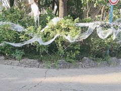 -南湖梦幻岛