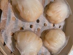 -相思林金岛饭店(青山湖店)