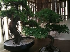 店面布置-湊湊火锅·茶憩(世博大道店)