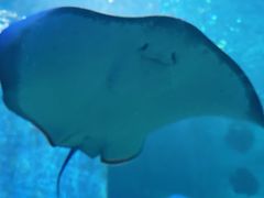 -石林冰雪海洋世界