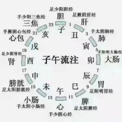 点击看大图 -香薇妮丝女子减肥院