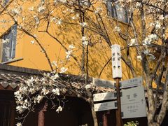 -龙华寺