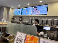 -雾与山茶(大禹城店)