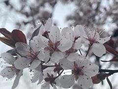 -南京珍珠泉风景区