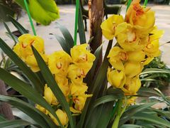 -国家植物园南园