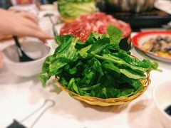 唐生菜-鲜入围煮花胶鸡海鲜火锅