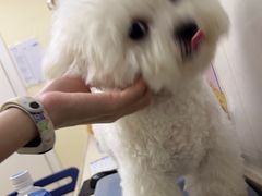 -芭比堂动物医院广州顽皮分院