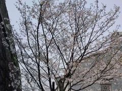-芦芽山旅游度假区