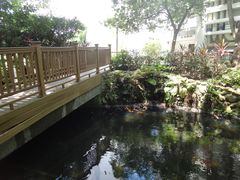 -香港大学