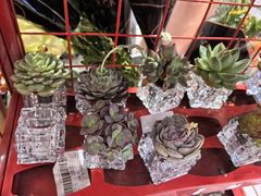 -盒马鲜生(189购物中心店)