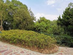 -上海市保健医疗中心