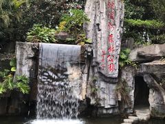 -广州市流溪河国家森林公园