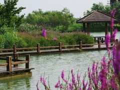 -艾溪湖湿地公园