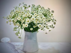 -钢管厂五区小郡肝串串香(南山店)