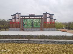 -千年枣林游览区