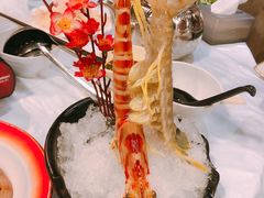 -鲜入围煮花胶鸡海鲜火锅