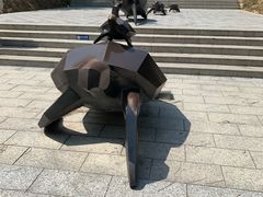 -广东惠东海龟国家级自然保护区