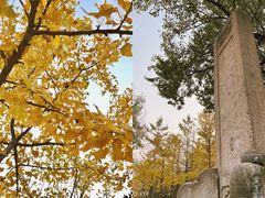 -北陵公园