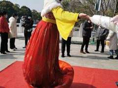 -溱湖国家湿地公园