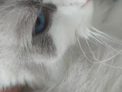 -嘉馨宠物医院·CT影像转诊·心脏科·犬猫全科诊疗中心(下沙大学城院区)