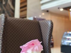 -上海吉臣维景酒店·维多利亚餐厅