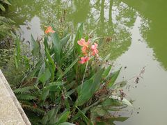 -龙潭水乡