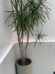 -LJOY丽锦造型·烫发染发