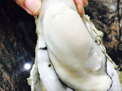 -蚝专家