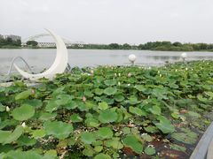 -澹台湖公园