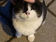 -同济大学(嘉定校区)