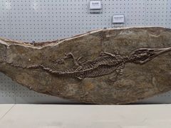 -辽宁古生物博物馆