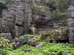 -梭布垭石林景区