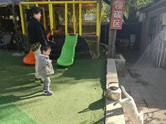 -尚庄度假村·庭台树下·户外烧烤·团建CS·轰趴营地(上庄水库店)