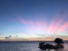 -宝安西湾红树林湿地公园