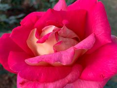 -人民公园(罗湖区)