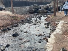 -白水寺森林公园