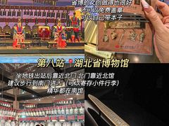 -武汉知音号