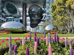 -北外滩滨江绿地