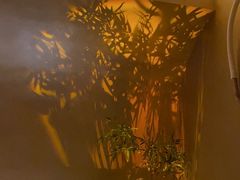 -宁采臣Sleep·采耳·SPA放松馆(湖里万达店)