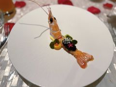 -广州四季酒店·佰鲜汇·现代法餐