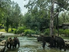 -北京野生动物园