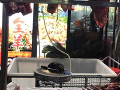 -江湖亮亮蒸虾大排档烤全羊清真(武汉总店)