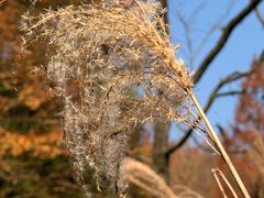 -山王坪喀斯特国家生态公园