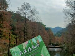 -云溪植物园