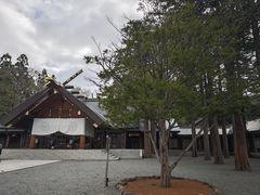 -北海道神宫