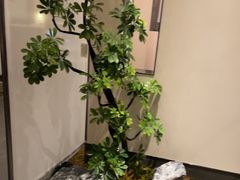 -上座云间·青年赣菜(绿茵店)